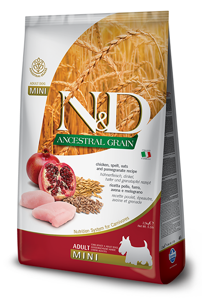 N&D Dog Ancestral Grain Chicken, Spelt, Oats, Pomegranate Adult Mini kutyatp