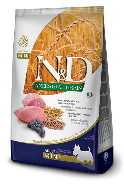 N&D Dog Ancestral Grain Lamb, Spelt, Oats, Blueberry Adult Mini kutyatp