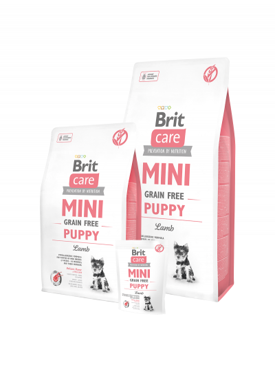 Brit Care Mini Grain Free Puppy lamb kutyatp