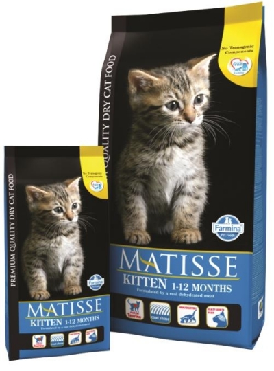 Matisse Kitten macskatp
