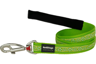 Red Dingo prz Design Daisy Chain lime green 