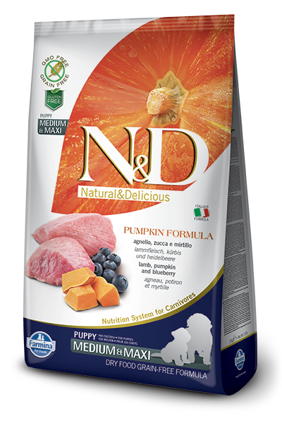 N&D Dog Grain Free Lamb Pumpkin and Blueberry Puppy M/M kutyatp (2x12kg)