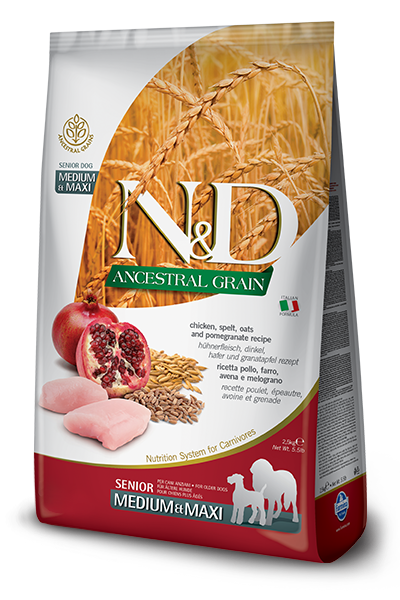 N&D Dog Ancestral Grain Chicken, Spelt, Oats, Pomegranate Senior M/M kutyatp