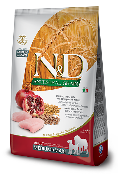 N&D Dog Ancestral Grain Chicken, Spelt, Oats, Pomegranate Adult M/M kutyatáp (2x12kg)