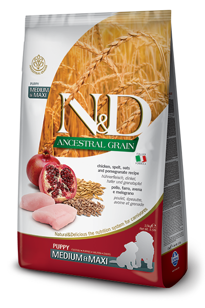 N&D Dog Ancestral Grain Chicken, Spelt, Oats, Pomegranate Puppy M/M kutyatp