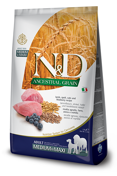 N&D Dog Ancestral Grain Lamb, Spelt, Oats, Blueberry Adult M/M kutyatáp