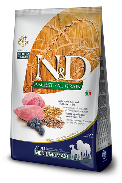 N&D Dog Ancestral Grain Lamb, Spelt, Oats, Blueberry Adult M/M kutyatp