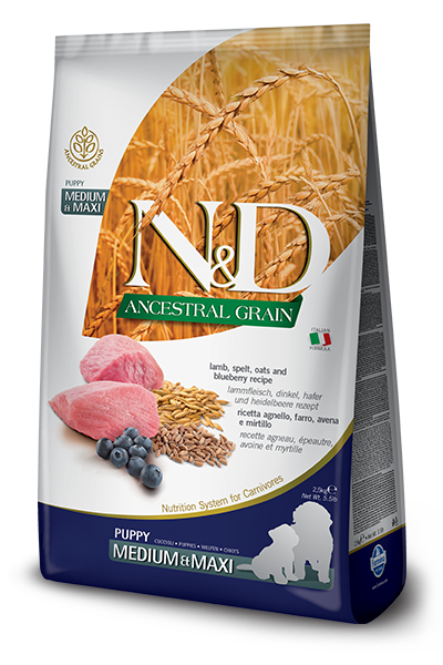 N&D Dog Ancestral Grain Lamb, Spelt, Oats, Blueberry Puppy M/M kutyatp