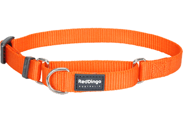 Red Dingo Classic félfojtó nyakörv kutyának narancs