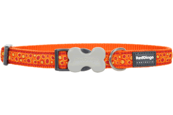 Red Dingo nyakörv Design Bedrock narancs (15 mm x 24-37 cm)