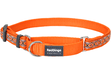 Red Dingo félfojtó nyakörv Desing Snake Eyes narancs (20 mm x 33-50 cm)