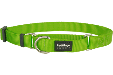 Red Dingo Classic flfojt nyakrv kutynak lime green (20 mm x 33-50 cm)