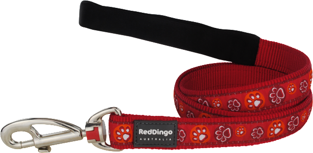 Red Dingo prz Design Paw Impressions piros