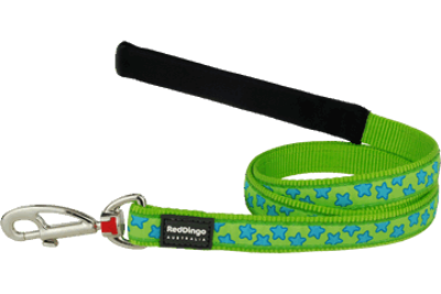 Red Dingo prz Design StarsTurquoise on Lime Green 