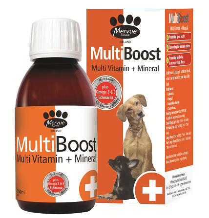 Mervue MultiBoost immunerősítő szirup, immunerősítő, speciális táplálékkiegészítő kutyának